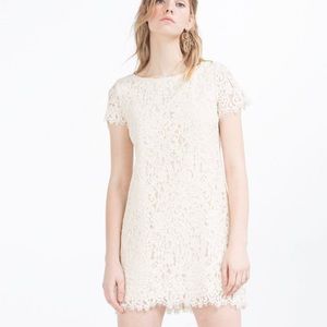 Zara lace dress in cream colour